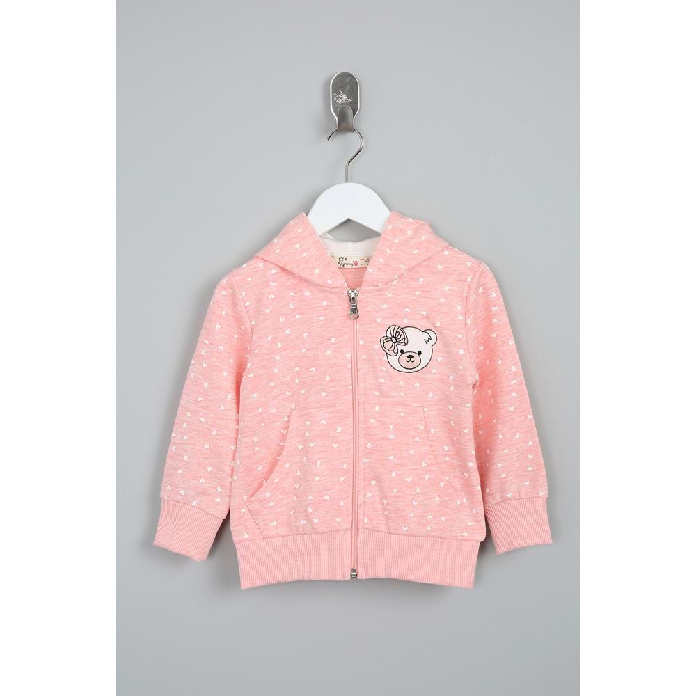 Kız Çocuk Hırka Çiçekli Ayıcık Nakışlı - Pembe (86/110)