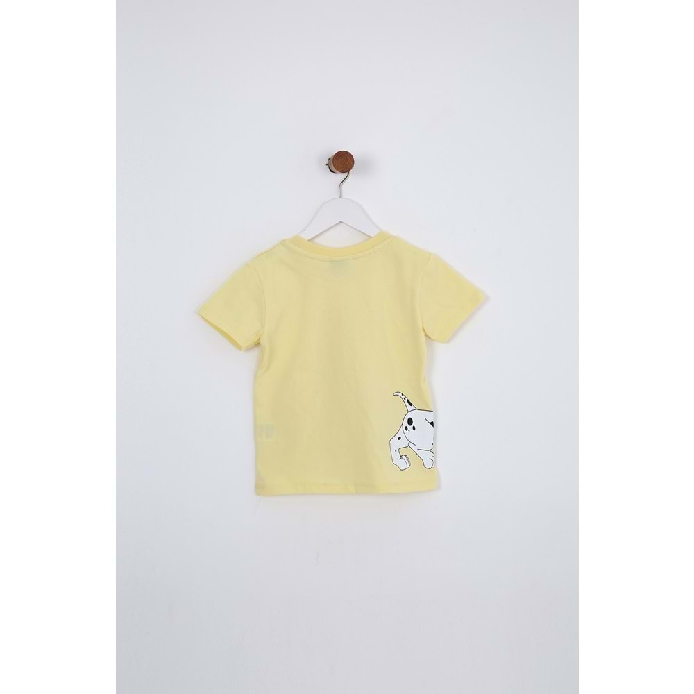 Erkek Çocuk Tişört Yavru Dalmaçya Baskılı - Açık Sarı (92/116)