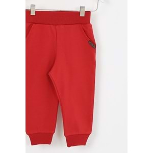 Erkek Çocuk Eşofman Takımı Araba Desenli - Gri (74/98)