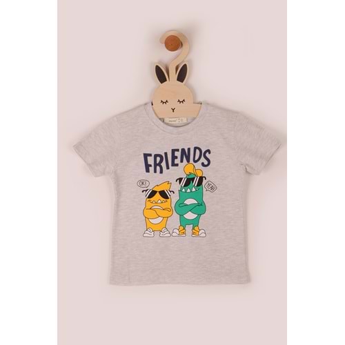 Erkek Çocuk Tişört Friends Baskılı - Gri (98/122)